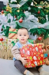 Merry Christmas 2024 - Ghi dấu mùa Giáng sinh an lành Hoa Trạng Nguyên